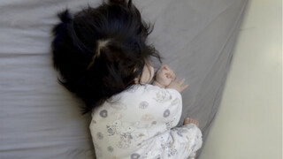6月龄可爱合集：睡着的小狮子做梦拱鸡窝去了~