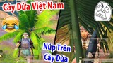 Phần 2 - ĐÚ TREND Ninja "Cây Dừa" Bắn Lén : Team địch khóc thét 😂| PUBG Mobile