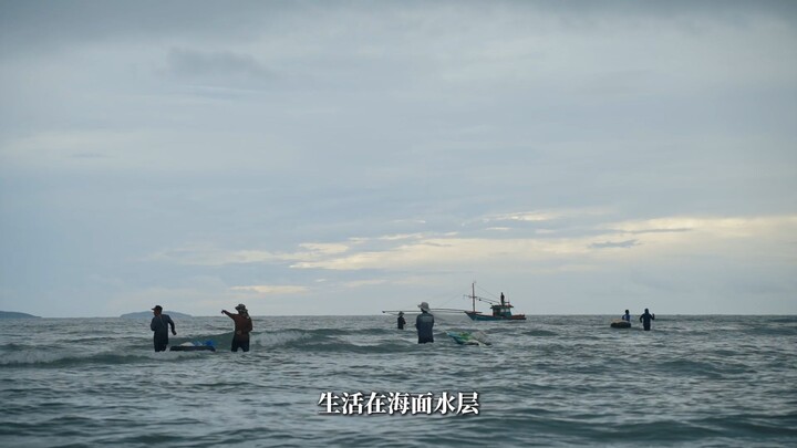 Touch of Thai Taste – EP.3: Shrimp Paste, Rayong 《Touch of Thai Taste》第3集：虾酱，罗勇府