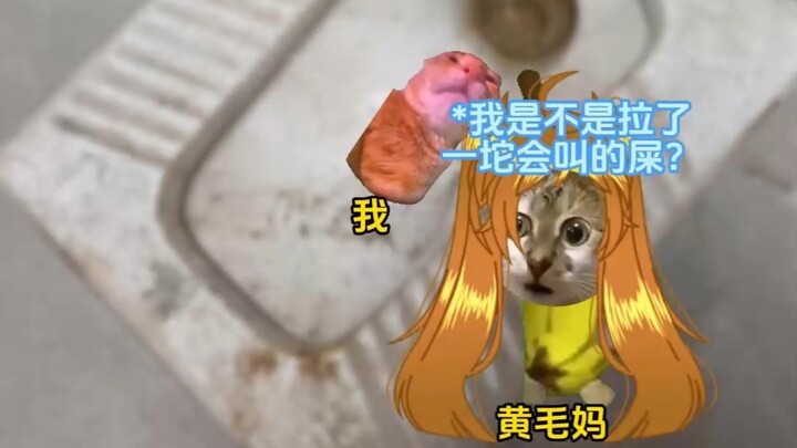 我这一波三折的人生