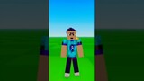 Turn Your Roblox Avatar into a Minecraft Character?!