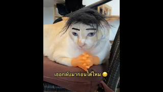 สติพ่ออะต้องกลับมาก่อน