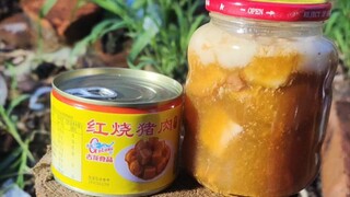 Post-apocalyptic Cuisine: Braised Pork with Glass Noodles