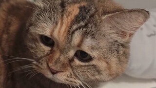 Can I cover myself with a bit of your blanket?