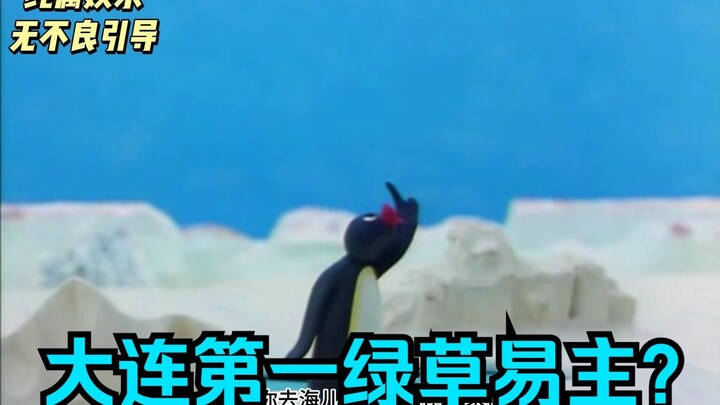 星海广场海鸥拉腚腚一身粑粑