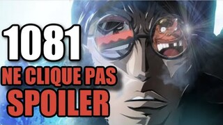 One Piece 1081 SPOILER Que des numéros 10 dans ma Team !