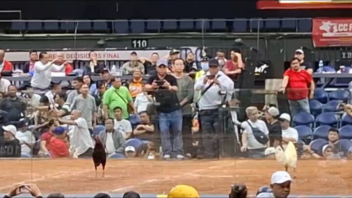 World Slasher Cup 1 2026 Blueface Hatch x Airwolf - Loss