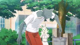 Beastars [AMV]