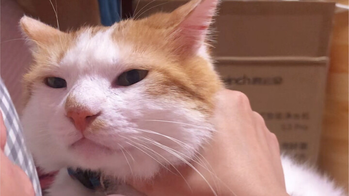 Mom’s driving the kid insane!