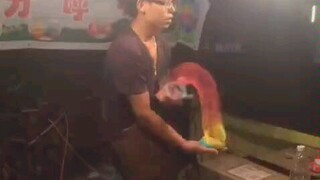 卧槽还可以这样玩！我小时候玩的简直弱爆了！