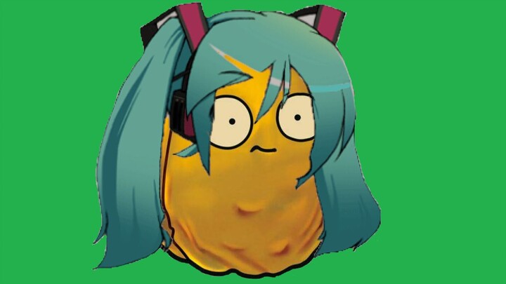 Halo semuanya, saya Hatsune Jiaoguo - Loonboon