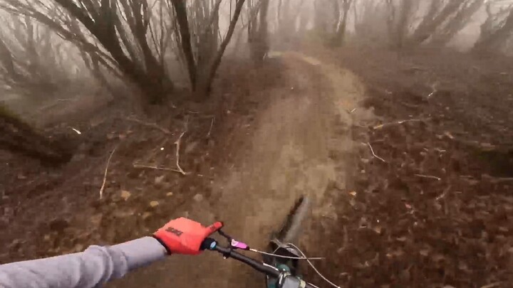 Nghệ Tổ, anh lại thức khuya nữa rồi, ngủ sớm đi được không?