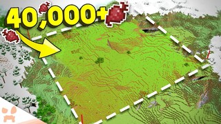 Building THE WORLDS BIGGEST BEETROOT FARM in Minecraft Survival! (#32) (40,000+ Beetroot)