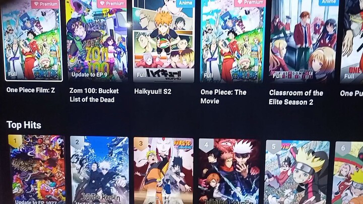 My hobby is always watching the best anime series.
