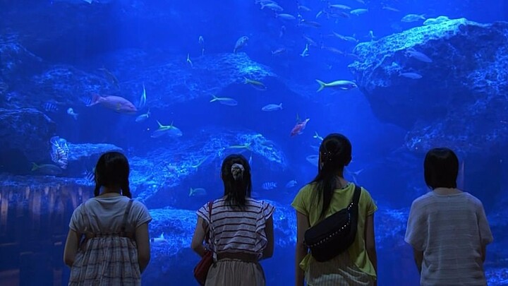 รถบัสรับส่งนักเรียนตกหน้าผา และผู้รอดชีวิตต้องรอความช่วยเหลือในที่สุด ตอนจบของ "Limit"