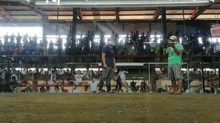 (Mortar hatch) labas bituka nanalo pa..