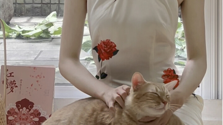 “Just go do it, and end up with a big mess.”