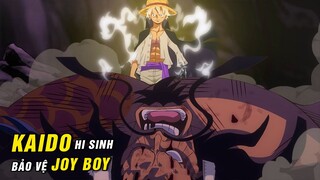 Kaido hi sinh cản Hải Quân bảo vệ Luffy ? Các sự kiện hot nhất sau khi kết thúc arc Wano