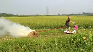 Chim Quý Nướng Dạ Và Màn Troll Mao Đệ Đốt Rơm Cực Kỳ Phê