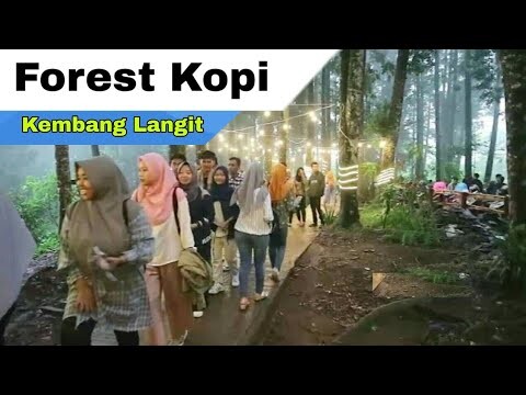 Forest Kopi Kembang Langit - Wisata Hits Di Jawa Tengah