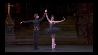 تعليق باليه الإمبراطور البجعة السوداء Pas de Deux Ballet Shao Bao