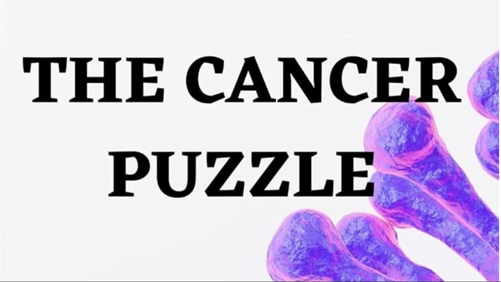 TedTalk - Siddhartha Mukherjee - The Cancer Puzzle