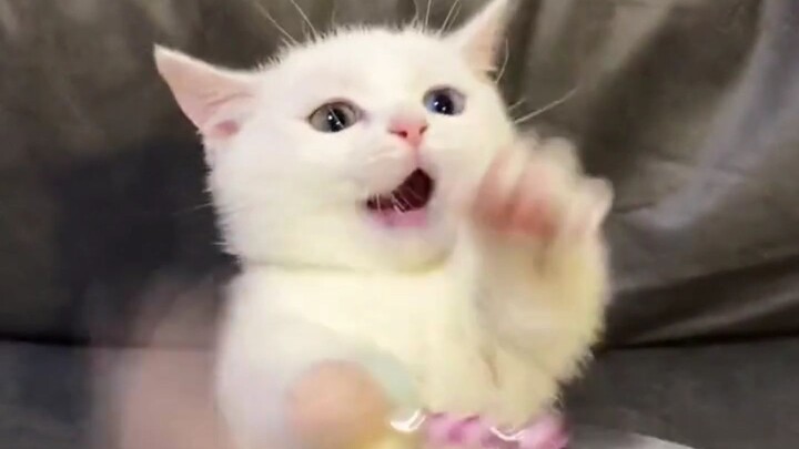 “Chia sẻ cho những người thú vị nha~~”