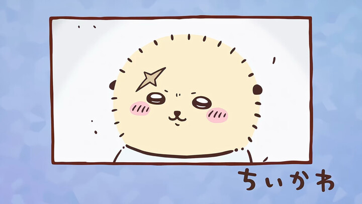 【Suara Asli】Chiikawa Subtitle Indonesia Episode 334 “Cangkir Kecil Cola / Labu Panggang”