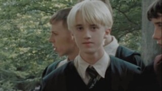 [HP Draco Personal/Mixed Cut] "เขาคือรุ่งอรุณที่ไม่อาจส่องสว่างได้ และคือพลบค่ำที่ไม่อาจมืดมิดได้"