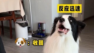 ทดสอบว่าจะเกิดปฏิกิริยาอะไรเมื่อจู่ๆ ยื่นมือออกไปต่อหน้าเจ้าตูบ?