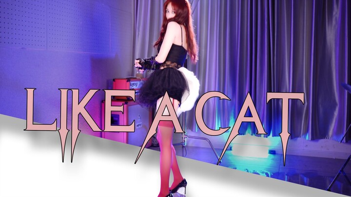 【舞蹈】like a cat 猫步轻俏