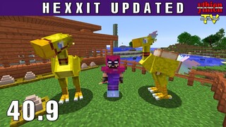 Hexxit UPDATED 40.9 - Xây Dựng Trang Trại và Ấp Trứng Chocobo