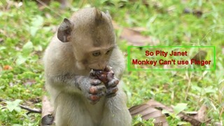 OMG!! Janet Monkey Can't Using Her Finger, Baby Look Very Hungry All Time, Baby Need Mom Take Care