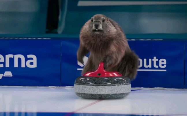 Welcome to the Mouse Olympics