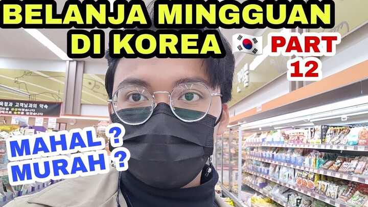 BELANJA MINGGUAN DI KOREA 🇰🇷 - POINT MART DEKAT KAMPUS