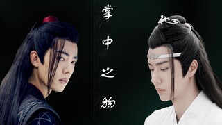 伪 掌中之物（番外一 精分的阿羡）
