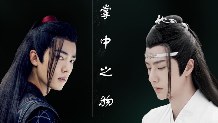 伪 掌中之物（番外一 精分的阿羡）