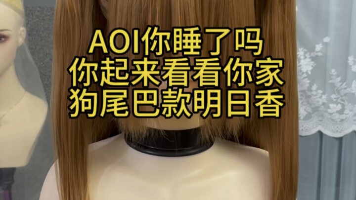 AOI, are you asleep? Get up and check your dog's tail, Asuka.