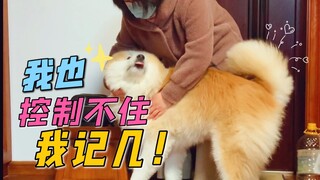 喜欢一个人怎么藏得住呢，尾巴就出卖了你