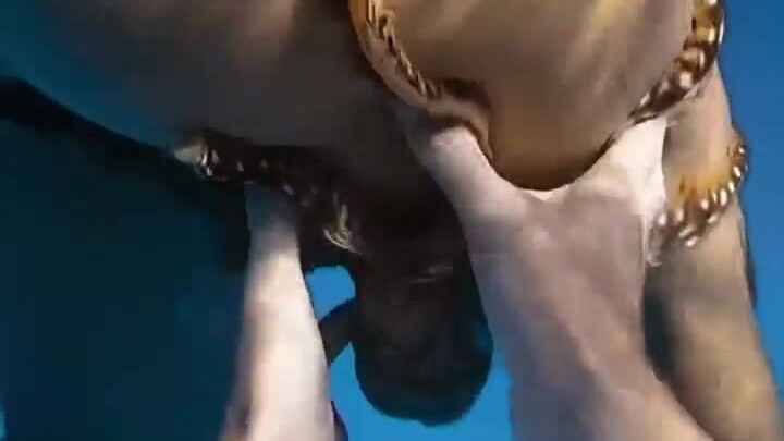 กำลังดำน้ำอย่างเพลิดเพลิน เกิดไปเจอหมึกยักษ์แก่ตัวหนึ่งที่รู้เคล็ดลับสร้างยอดวิวพอดี!