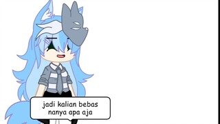 open QNA😃