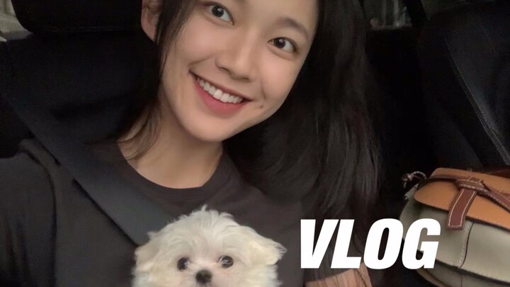 VLOG | ฉันกับคุณเด่อ | มือใหม่เลี้ยงสุนัข | มอลทีส