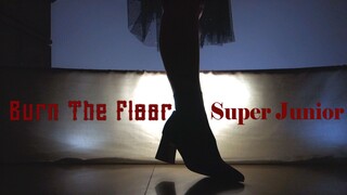 Burn the Floor文艺复兴烧地板