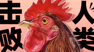 [Food Record] Conquering the Earth and domesticating humans, how did the chicken become the god of t