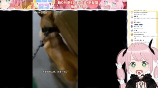 日本妖精看《在显眼的地方做最显眼的狗》