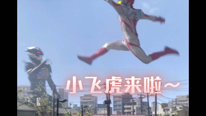 小虎子的可爱表情包～