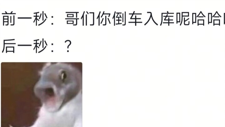 Người biết lái xe và người không biết lái xe đều im lặng.