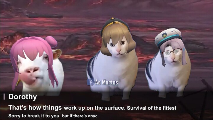 Dorothy being doro