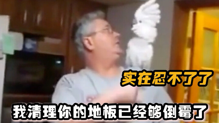 You can tell—these days, even animals aren’t in great spirits! Hahaha #Pets #Parrot #Funny