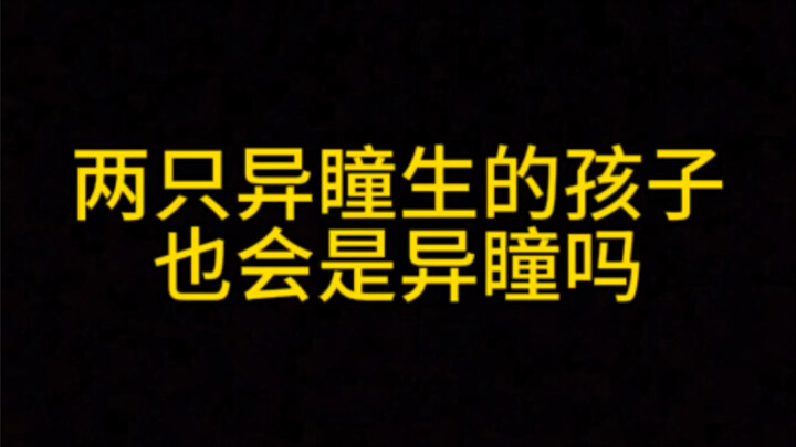 If both parents have heterochromia, will their child also have heterochromia?
